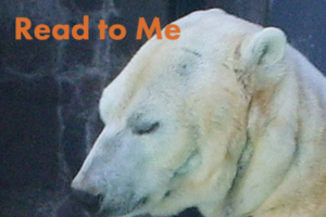 Polar Bear with Read to Me text